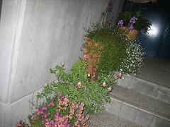 用心棒_a0064213_2239291.jpg