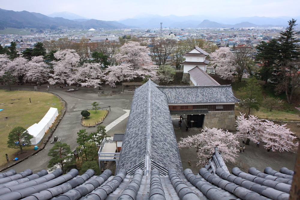 桜　三春の滝桜_c0100217_22361510.jpg