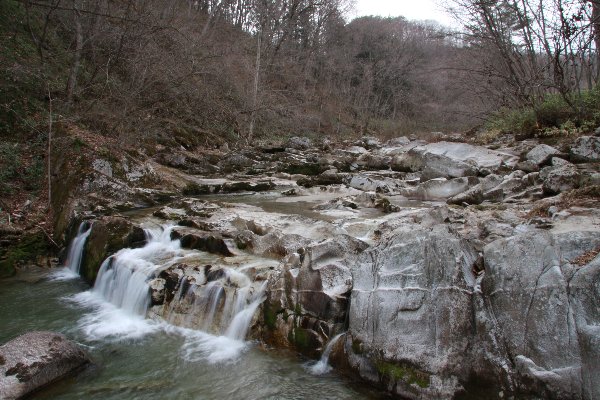 d0109319_1682171.jpg