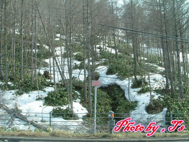 f0147821_16481063.jpg
