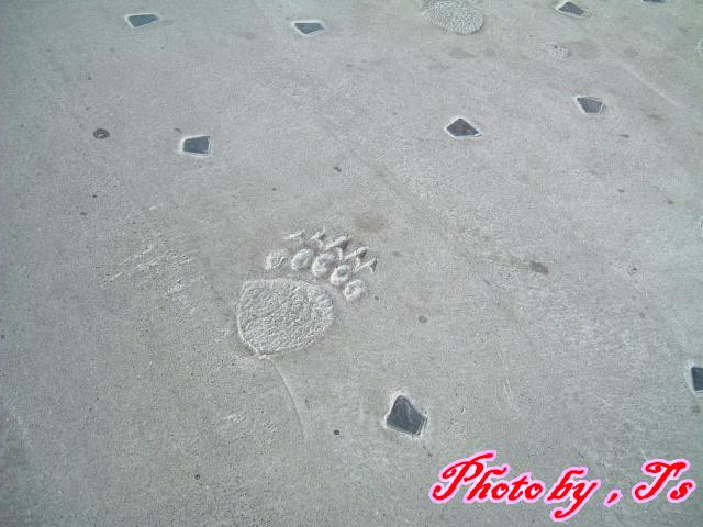 f0147821_16503840.jpg