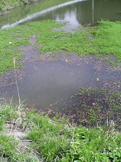 c0109726_21132950.jpg