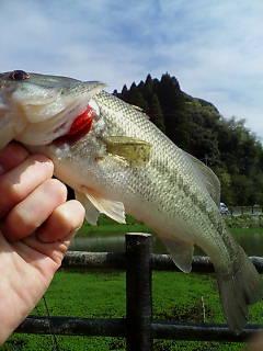 c0109726_21173563.jpg