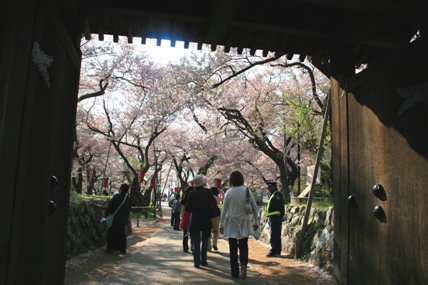 f0060428_16441359.jpg