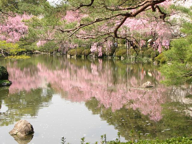 そうだ京都にいこう　ⅩⅡ　＜平安神宮　６　最終章＞_f0099535_17301136.jpg