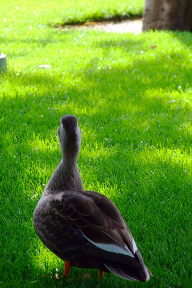 a0036139_0215040.jpg