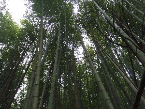 a0054240_17361817.jpg