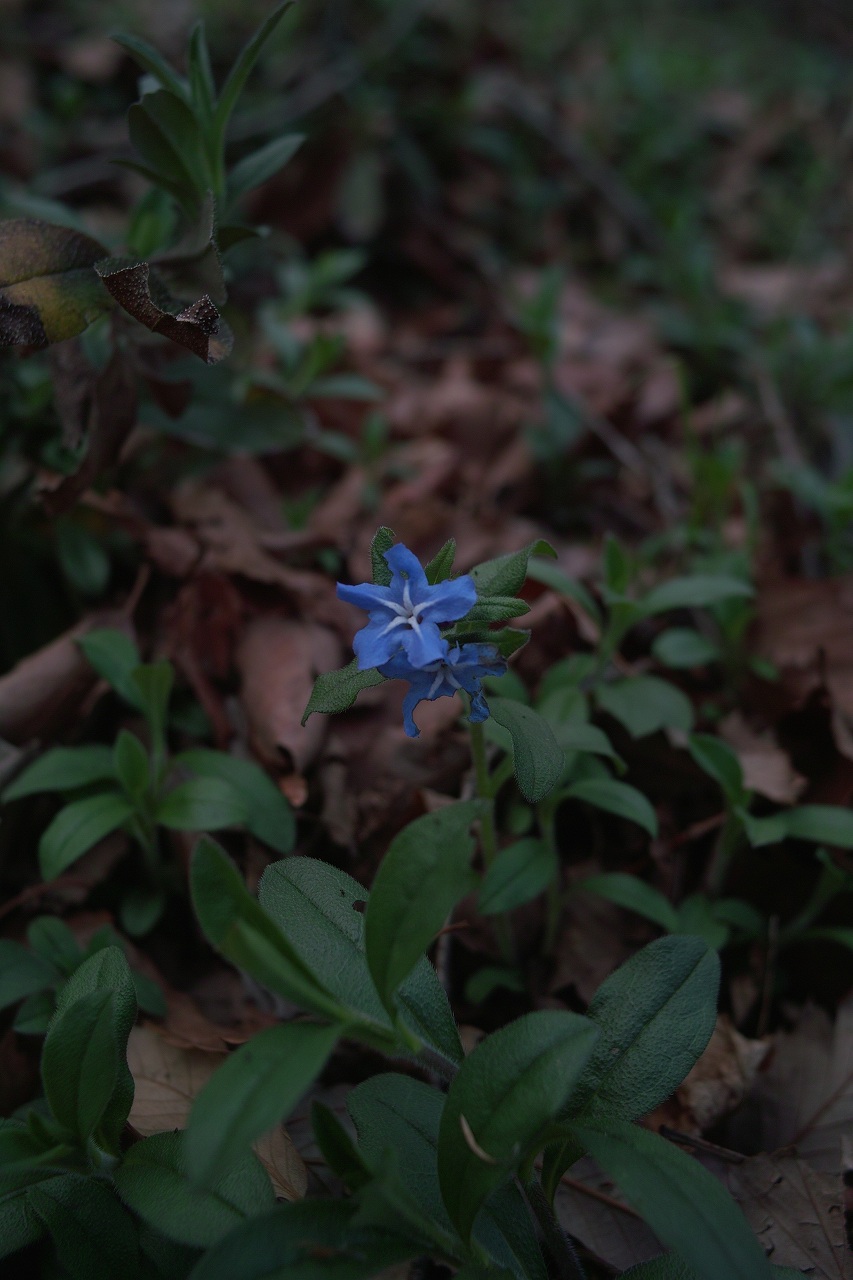 c0008948_20342380.jpg