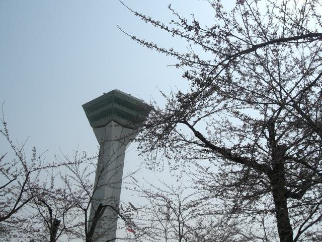 b0049549_17333041.jpg