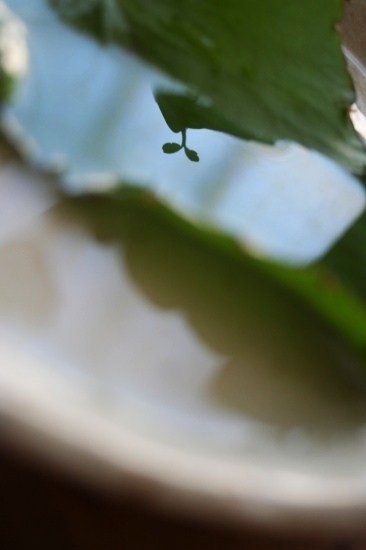 e0126350_22404011.jpg