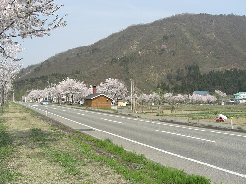 六日町の坂戸山_a0084753_16405260.jpg