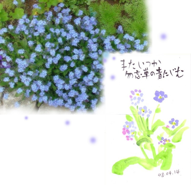 またいつか・・・・_e0074955_1927196.jpg