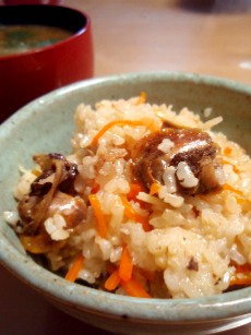赤貝の玄米炊き込みご飯 うちのコボ 酵母 ちゃん