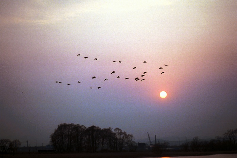 e0023068_2340401.jpg