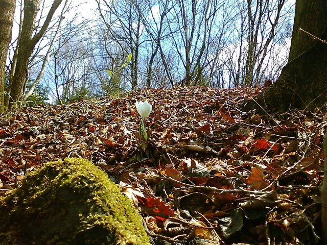 c0082573_22455672.jpg