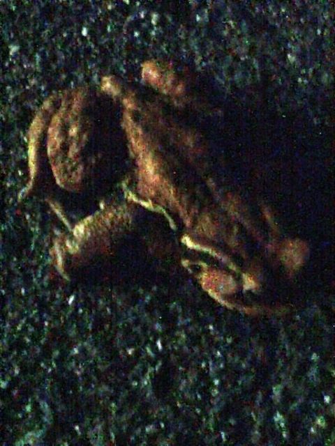 c0082573_22514353.jpg