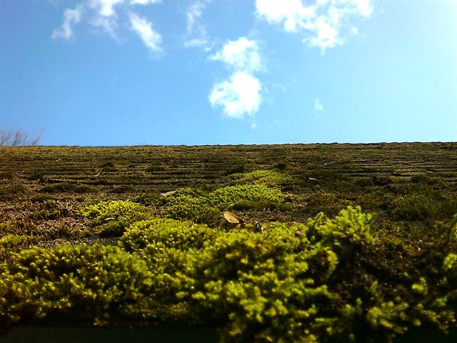 c0082573_22575413.jpg