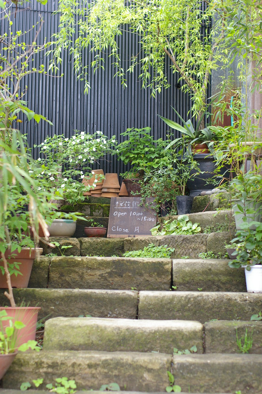 d0116183_034459.jpg