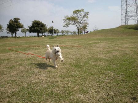 e0066883_18141768.gif