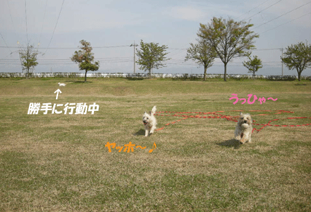 e0066883_1814339.gif