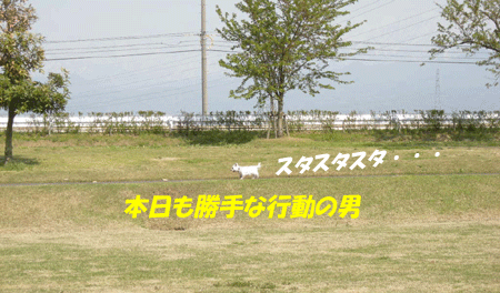 e0066883_1817432.gif