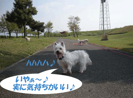 e0066883_18285934.gif