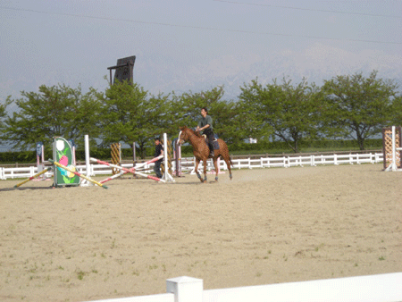 e0066883_19143997.gif