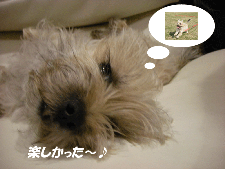 e0066883_19321119.gif