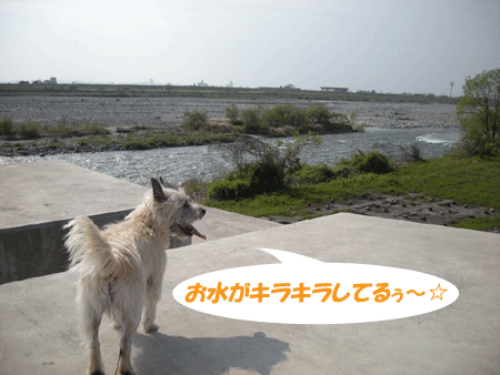 e0066883_1984659.gif