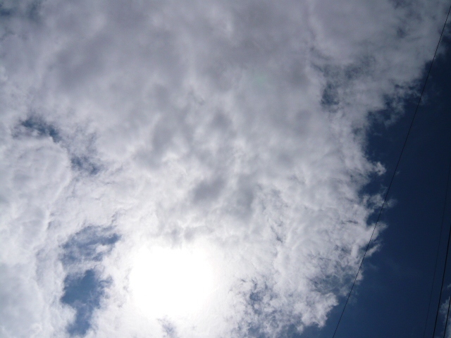 f0123983_01108.jpg