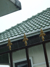 カルシウム補給_f0144385_16361312.jpg