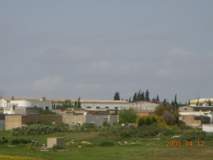 c0149195_22585181.jpg