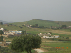 c0149195_2384746.jpg