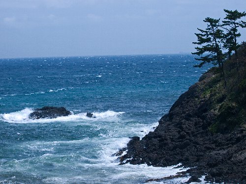 富士憧憬～♪、、、《 2008 西伊豆OFF会 》　№２_c0008502_22553665.jpg