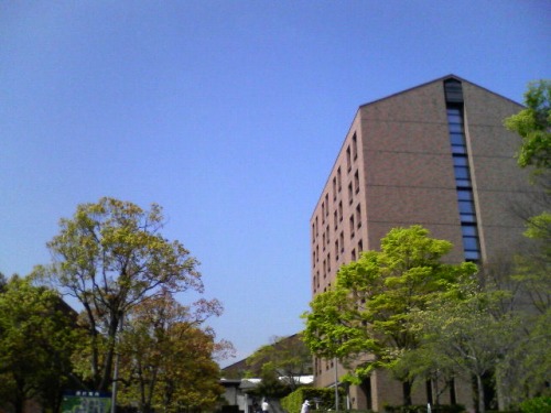e0024206_23142817.jpg