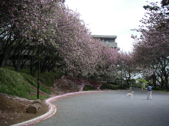 e0146912_1214141.jpg