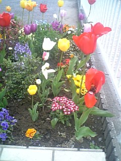 c0109726_16221486.jpg