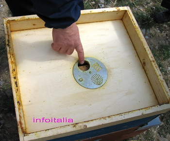 c0077533_03368.jpg