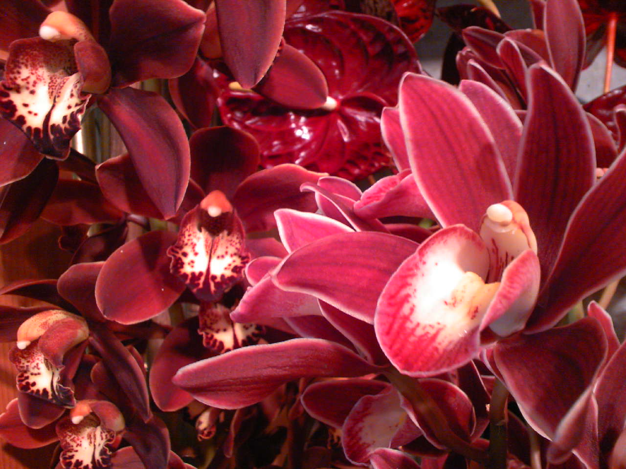 b0137240_13125556.jpg