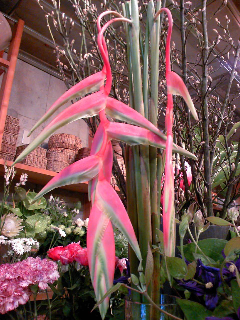 b0137240_1320688.jpg