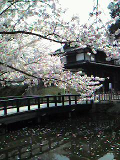 e0028240_7243679.jpg
