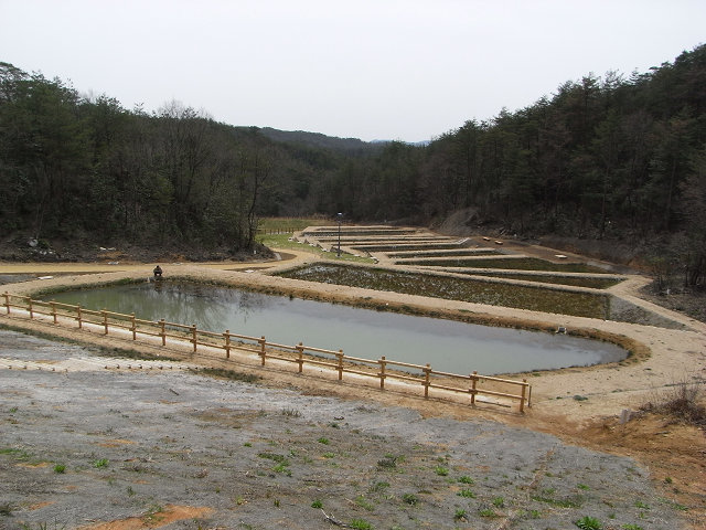 せら夢公園（自然観察園）が開園しました！_b0074742_020576.jpg