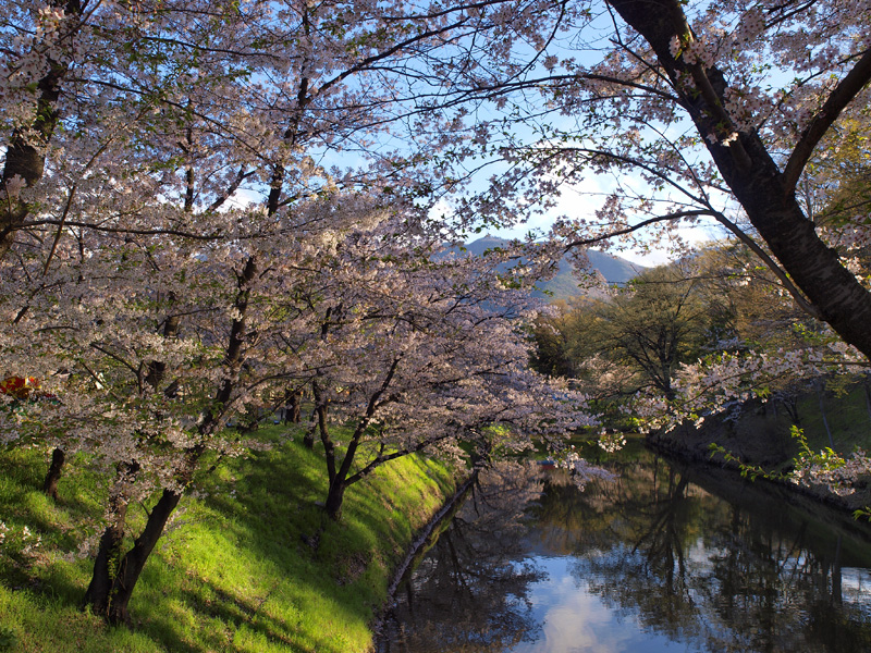 信州撮影旅行　～上田城址4～ _b0135347_2331339.jpg