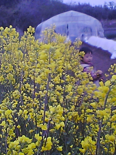 e0085052_22311688.jpg