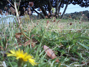 c0155853_1938447.jpg