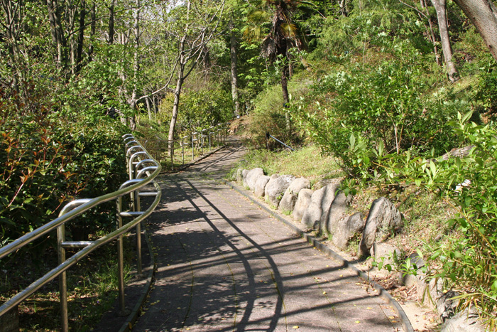 e0086860_2235194.jpg