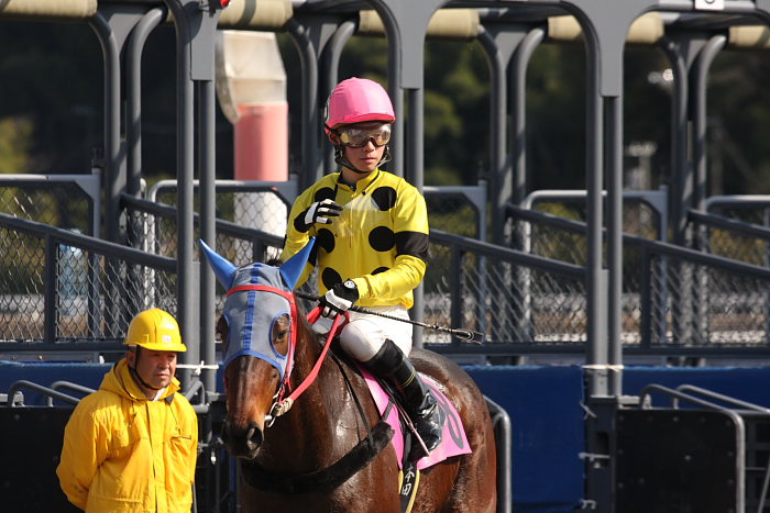 2008年2月11日(月) 高知競馬 5R レース前_a0077663_6583749.jpg