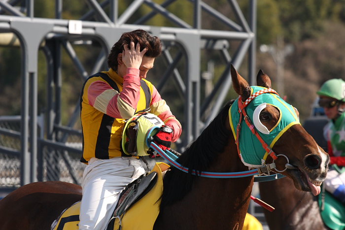 2008年2月11日(月) 高知競馬 5R レース前_a0077663_658542.jpg