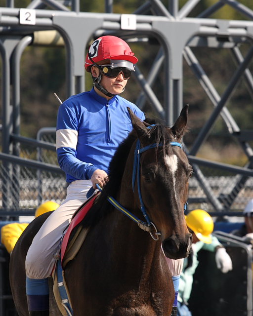 2008年2月11日(月) 高知競馬 5R レース前_a0077663_6591326.jpg