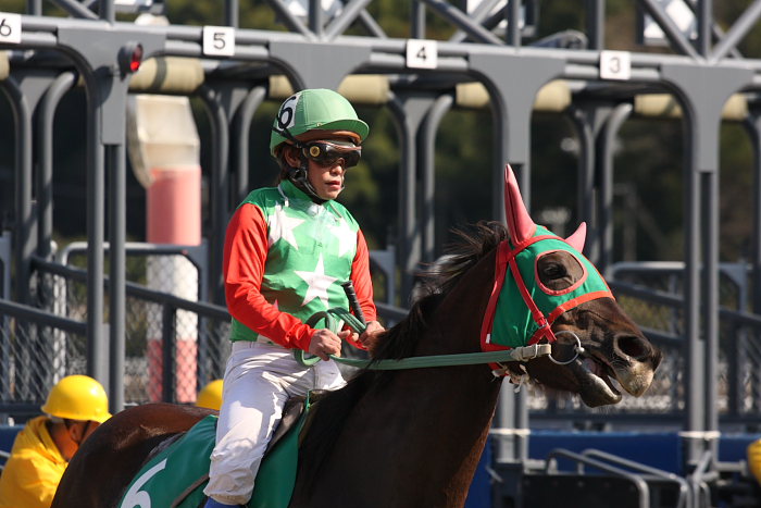 2008年2月11日(月) 高知競馬 5R レース前_a0077663_659348.jpg
